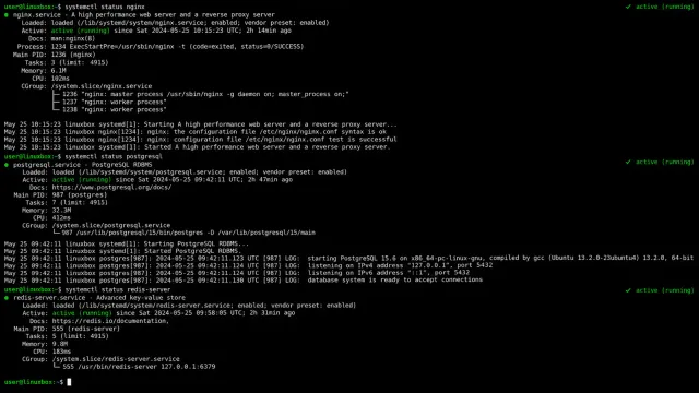Terminal screen showing systemd service status output with green active indicators and structured log entries