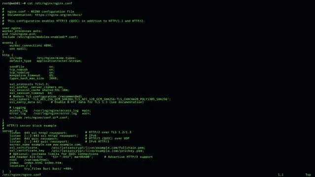 Nginx server terminal with HTTP/3 QUIC configuration displayed on a dark terminal interface